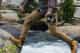 GoPro Fluid Pro Ai Gimbal image 11