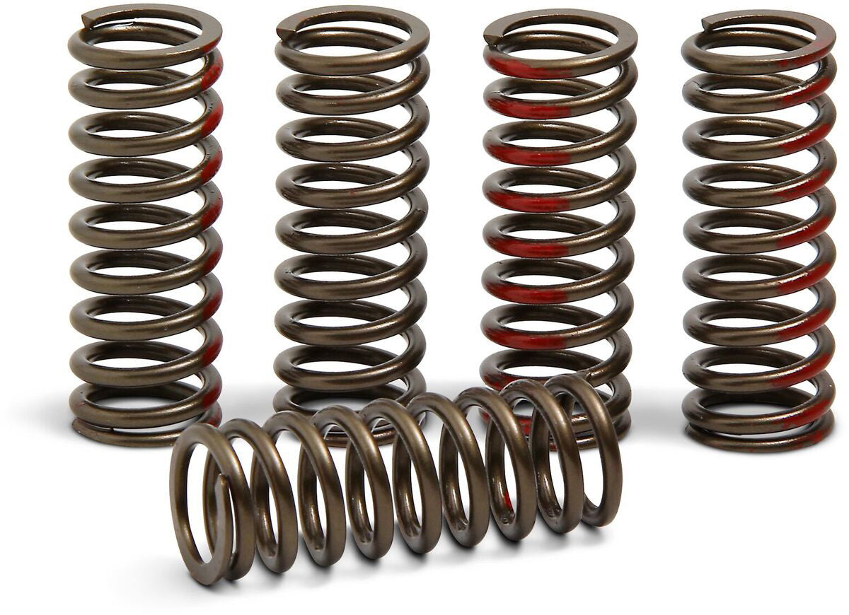 Clutch springs for Honda CRF450R model years 2013 to 2020, showcasing durability and performance for optimal motorcycle operation.